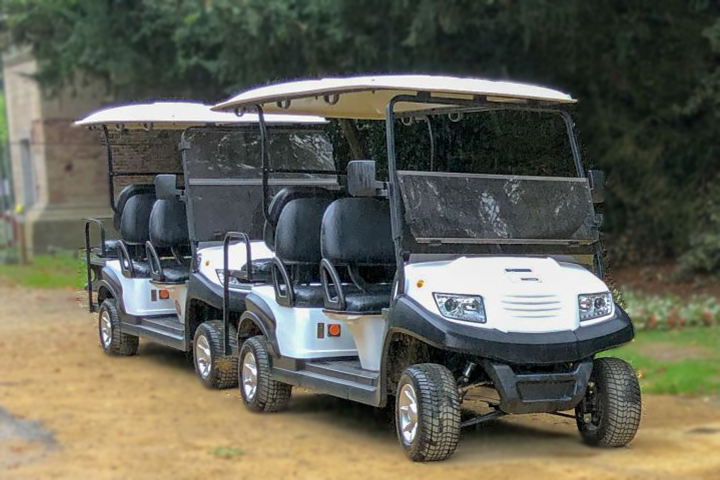 6-Seater Golf Cart
